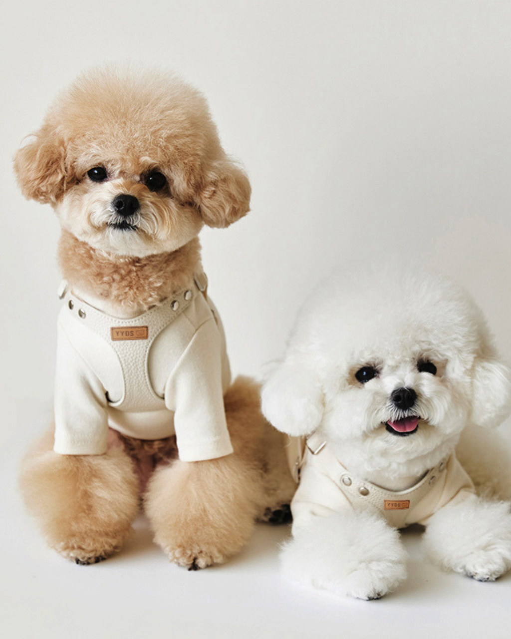 Petorus NobleBear Dog Harness