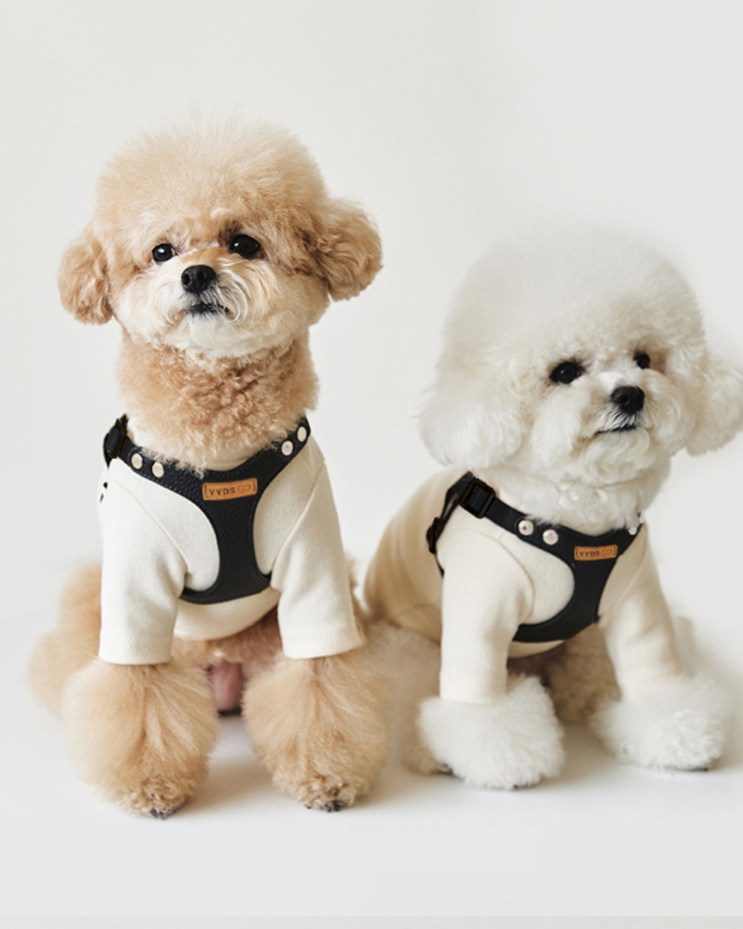 Petorus NobleBear Dog Harness