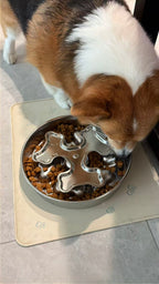 Rotating Stainless Steel Slow Feeder Bowl