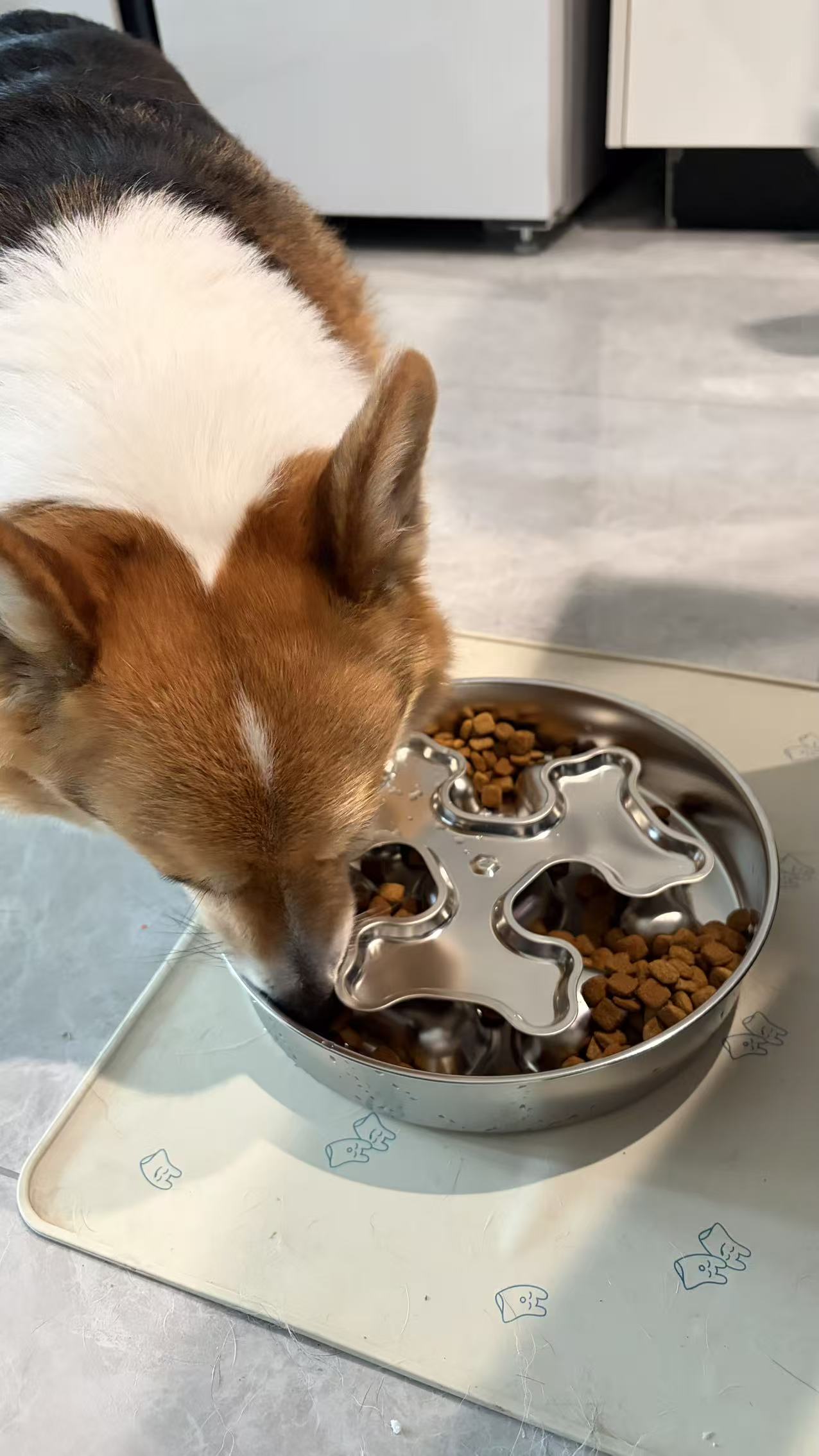 Rotating Stainless Steel Slow Feeder Bowl