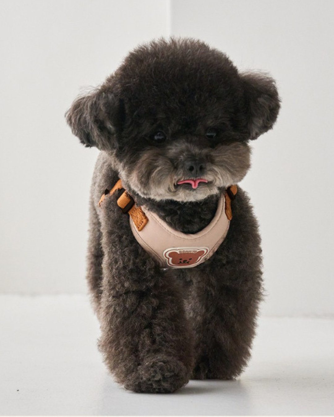 Petorus SnugBear Dog Harness
