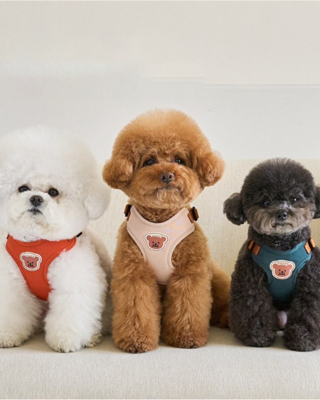 Petorus SnugBear Dog Harness