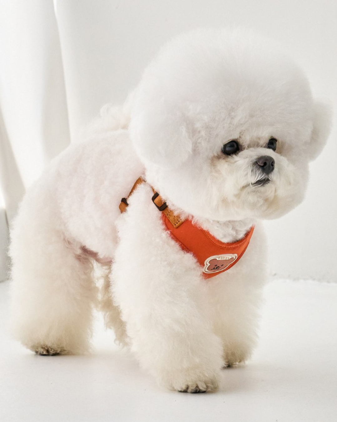 Petorus SnugBear Dog Harness