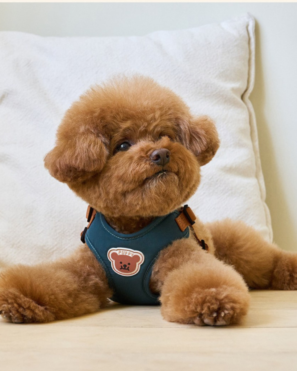 Petorus SnugBear Dog Harness