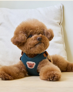 Petorus SnugBear Dog Harness
