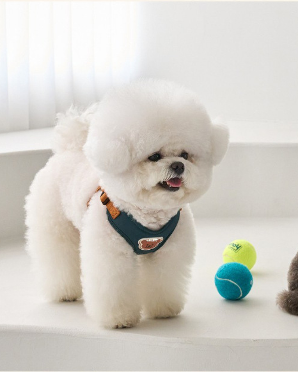 Petorus SnugBear Dog Harness