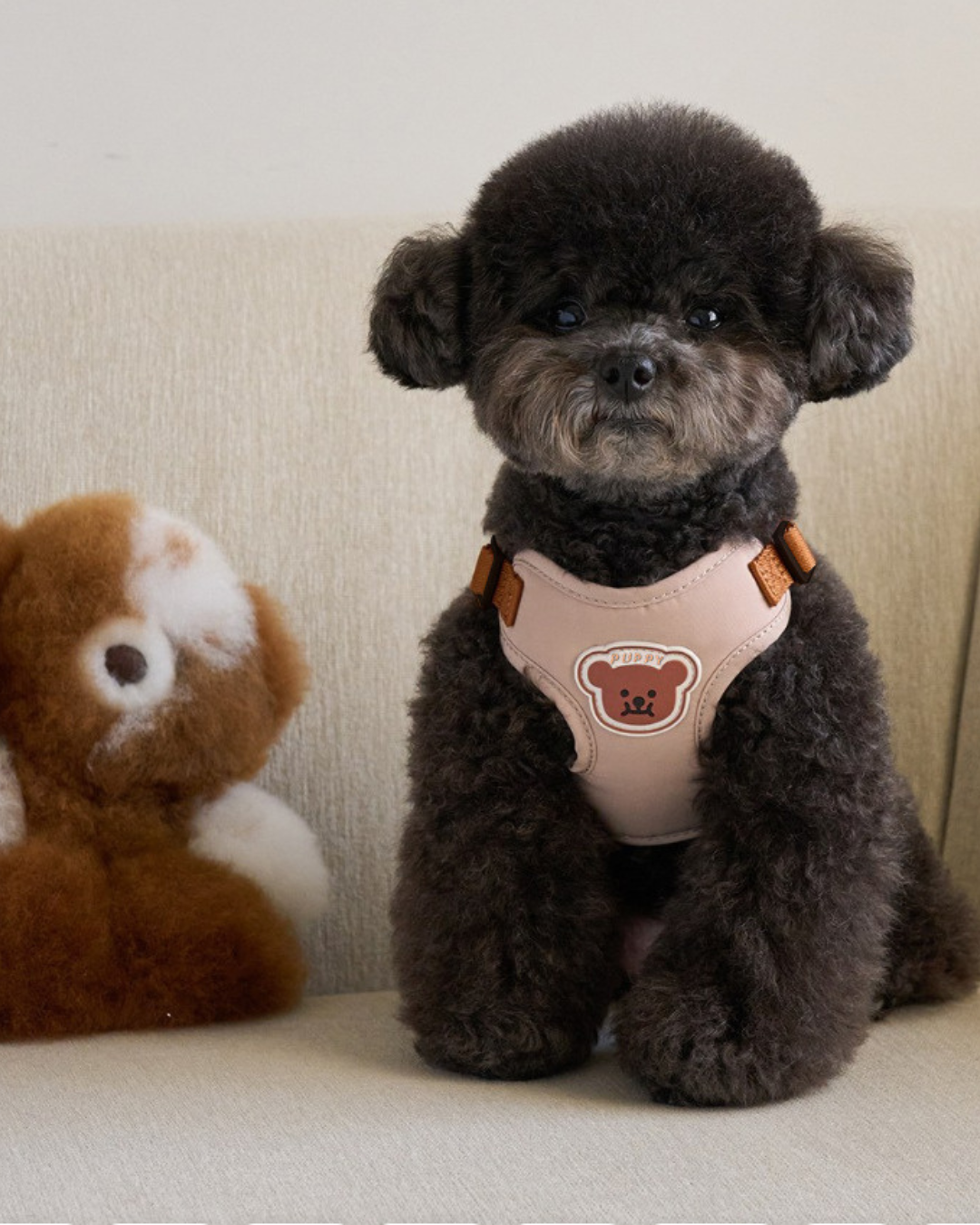Petorus SnugBear Dog Harness