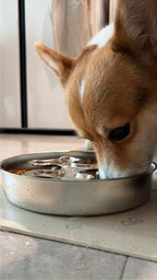 Rotating Stainless Steel Slow Feeder Bowl