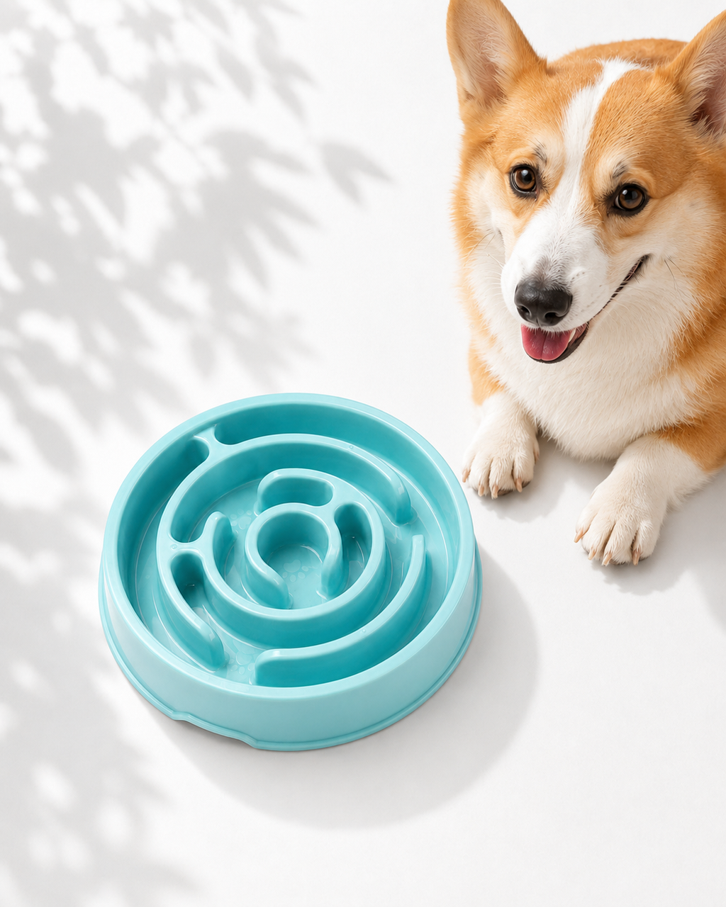 Petorus Spiral Slow Feeder Bowl